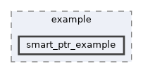 libs/core/example/smart_ptr_example