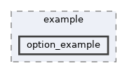 libs/core/example/option_example